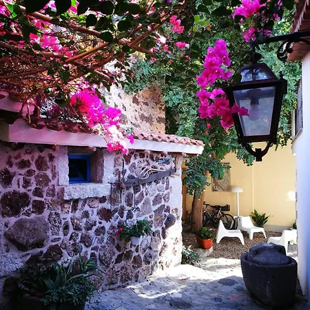 Apartment Il Carrubo With Jacuzzi & Sauna - Tiny House Bari Sardo