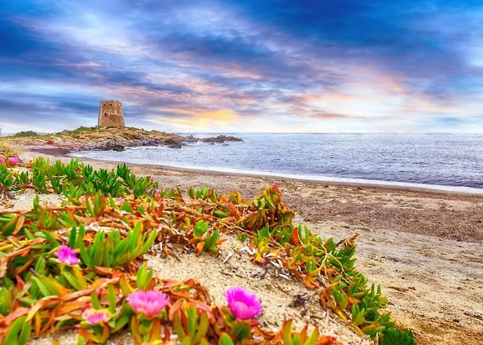 Apartman La Corte Del Carrubo & - Tiny House Bari Sardo