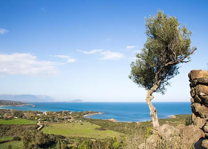La Corte Del Carrubo & - Tiny House Bari Sardo