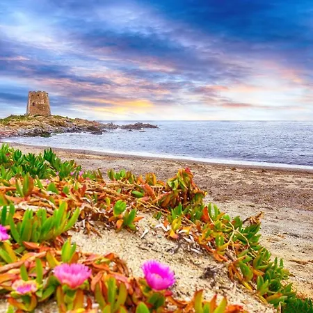 Διαμέρισμα La Corte Del Carrubo & - Tiny House Bari Sardo